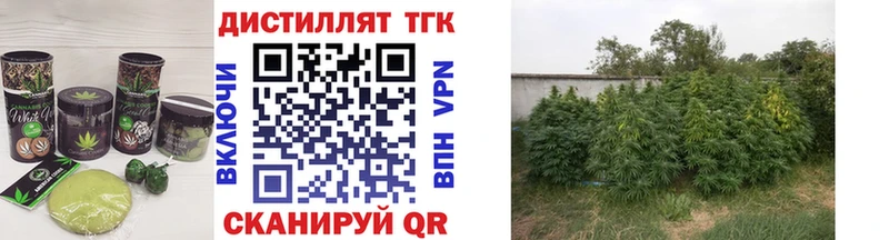 Canna-Cookies конопля Шатура