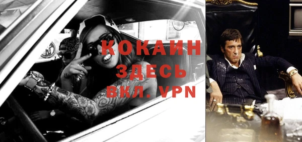 прущий лед Новозыбков