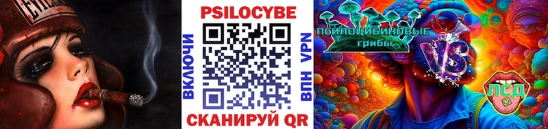 Галлюциногенные грибы MAGIC MUSHROOMS  купить  сайты  Шатура 